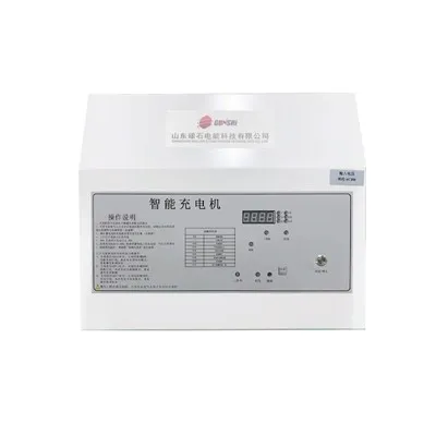 80-V-Industrie-Blei-Säure-Ladegerät